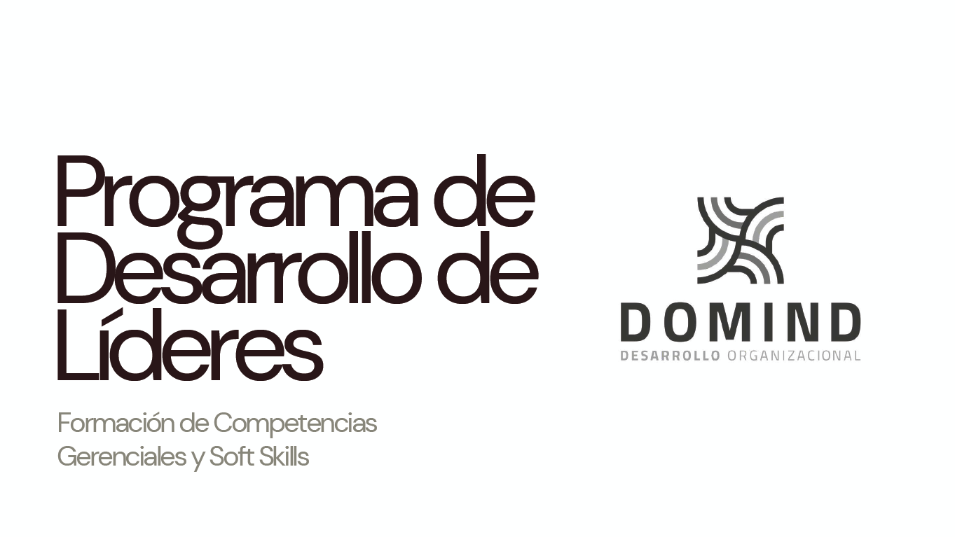 Desarrollo de Líderes