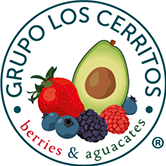 Logo Grupo Cerritos